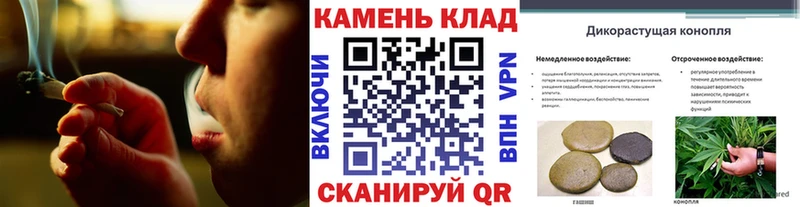 Гашиш Изолятор  Артёмовский 