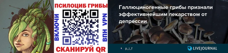Галлюциногенные грибы GOLDEN TEACHER  omg сайт  Артёмовский 